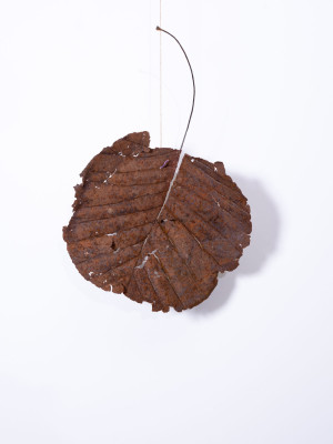 de-loop-der-dingen00019