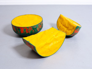 in-de-verse-verte00012