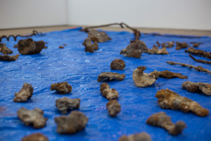 emergentoct2018_87web